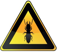 thermites